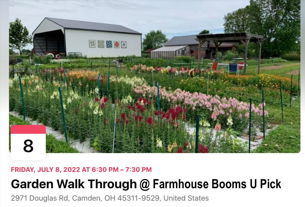 Garden Walk @ Farmhouse Blooms U Pick